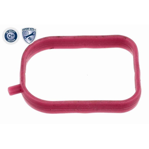 ACKOJA Thermostat, K&uuml;hlmittel EXPERT KITS +