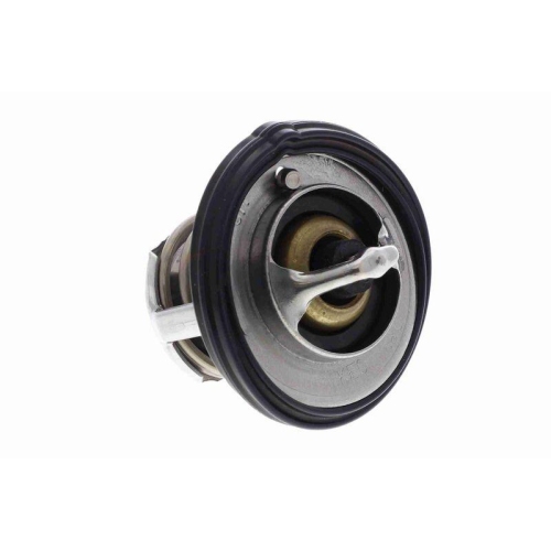 ACKOJA Thermostat, K&uuml;hlmittel Original ACKOJA Qualit&auml;t A52-99-0016