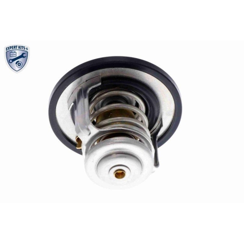 ACKOJA Thermostat, K&uuml;hlmittel EXPERT KITS +