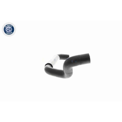 VAICO K&uuml;hlerschlauch Q+, Erstausr&uuml;sterqualit&auml;t