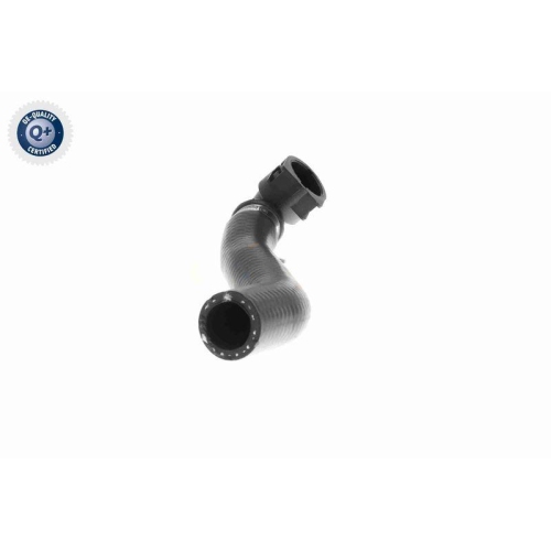 VAICO K&uuml;hlerschlauch Q+, Erstausr&uuml;sterqualit&auml;t V20-3682