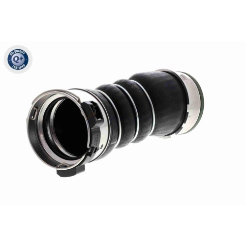 VAICO Ladeluftschlauch Q+, Erstausrüsterqualität V20-3656