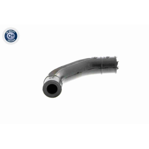 VAICO Schlauch, Kurbelgehäuseentlüftung Q+, Erstausrüsterqualität V30-0794