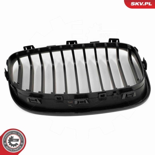 ESEN SKV Kühlergitter