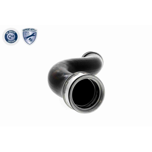 VAICO Ladeluftschlauch EXPERT KITS +