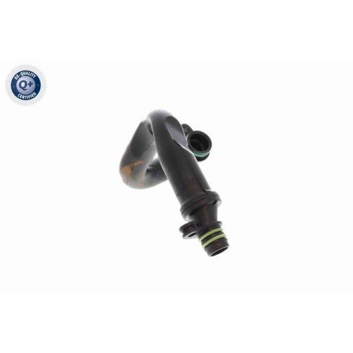 VAICO Ventil, Kurbelgehäuseentlüftung Green Mobility Parts V10-8677