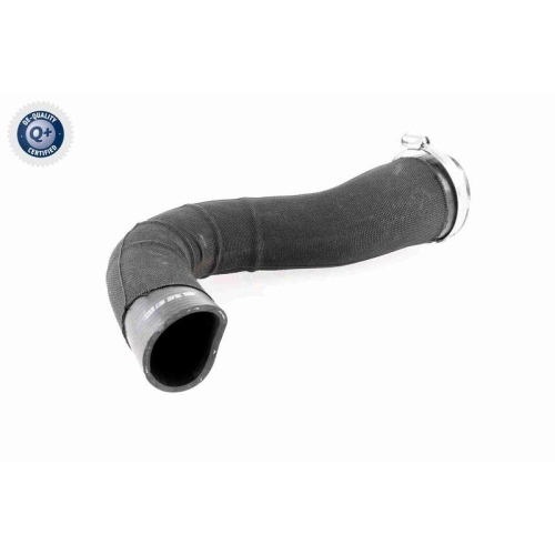 VAICO Ladeluftschlauch Q+, Erstausr&uuml;sterqualit&auml;t V48-0182