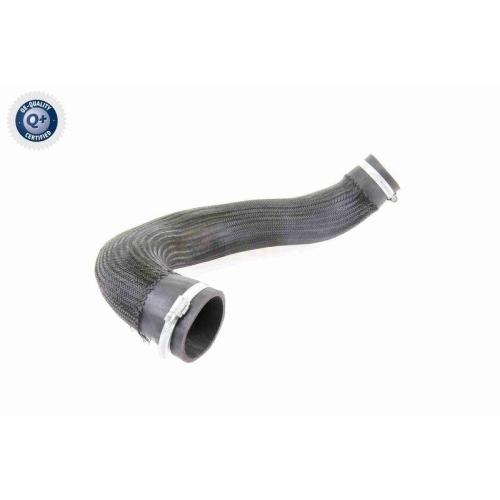 VAICO Ladeluftschlauch Q+, Erstausrüsterqualität V10-3834