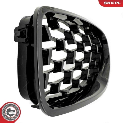 ESEN SKV Kühlergitter