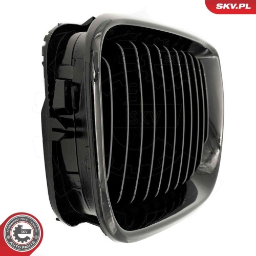 ESEN SKV Kühlergitter