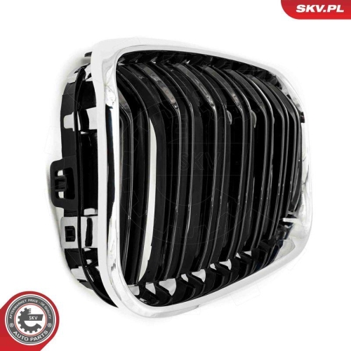 ESEN SKV Kühlergitter