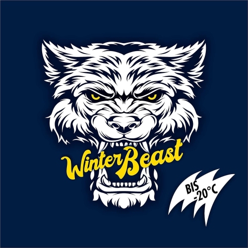 Frostschutz Winterbeast 5L AntiFrost KlarSicht Scheibenreiniger -20&deg;C Sonax