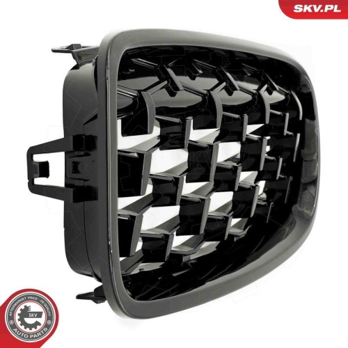 ESEN SKV Kühlergitter