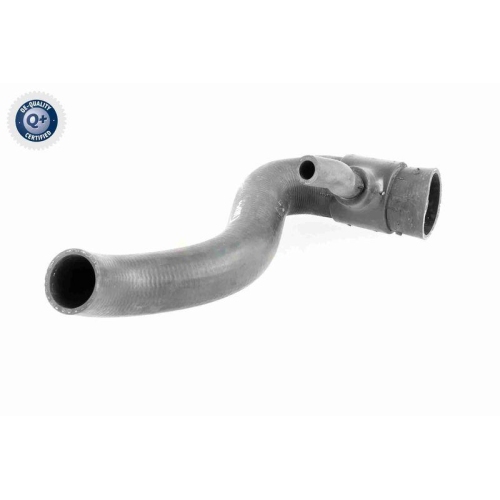 VAICO Kühlerschlauch Q+, Erstausrüsterqualität V30-1951