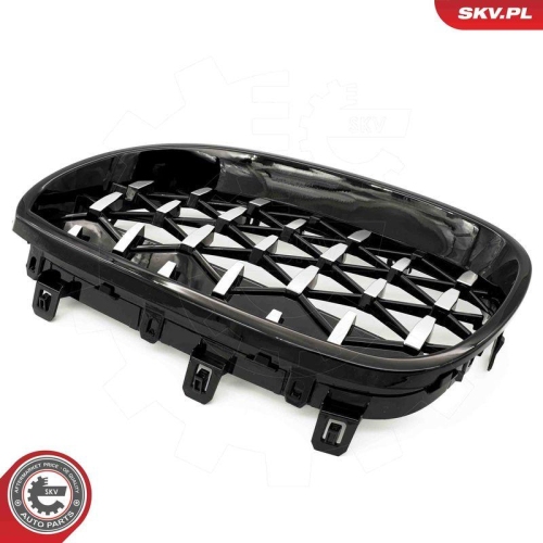 ESEN SKV Kühlergitter