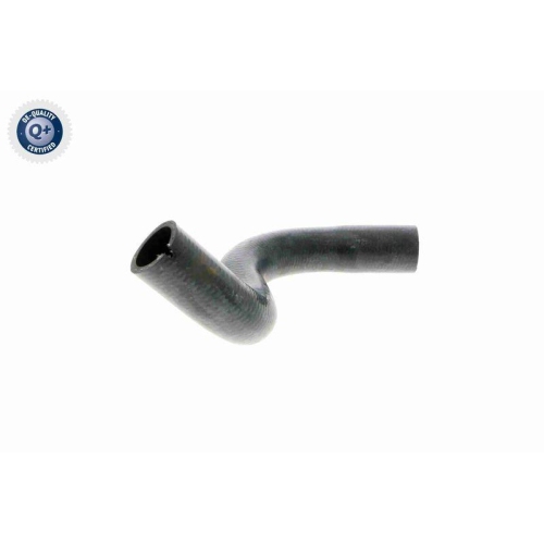 VAICO K&uuml;hlerschlauch Q+, Erstausr&uuml;sterqualit&auml;t V24-0872