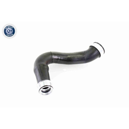 VAICO Ladeluftschlauch Q+, Erstausrüsterqualität