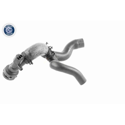 VAICO K&uuml;hlerschlauch Q+, Erstausr&uuml;sterqualit&auml;t