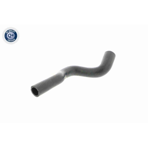 VAICO Kühlerschlauch Q+, Erstausrüsterqualität V20-1704