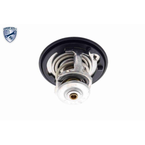 ACKOJA Thermostat, K&uuml;hlmittel EXPERT KITS + A26-99-0007