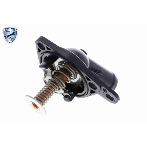 ACKOJA Thermostat, K&uuml;hlmittel EXPERT KITS + A26-99-0012