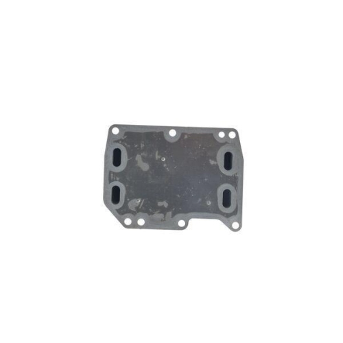 MAHLE &Ouml;lk&uuml;hler, Motor&ouml;l BEHR CLC 361 000S