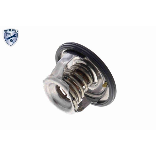 ACKOJA Thermostat, K&uuml;hlmittel EXPERT KITS + A63-99-0004