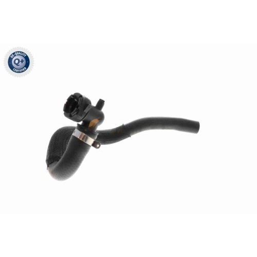 VAICO K&uuml;hlerschlauch Q+, Erstausr&uuml;sterqualit&auml;t V22-0965