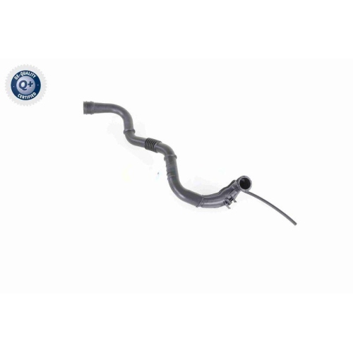 VAICO Ladeluftschlauch Q+, Erstausr&uuml;sterqualit&auml;t V46-0742