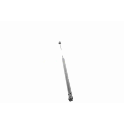 VAICO Gasfeder, Koffer-/Laderaum Original VAICO Qualit&auml;t V25-0555