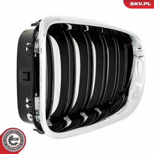 ESEN SKV Kühlergitter