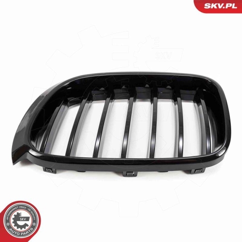 ESEN SKV Kühlergitter