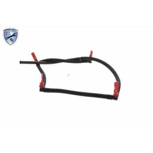 VAICO Schlauch, Leckkraftstoff EXPERT KITS + V22-0809