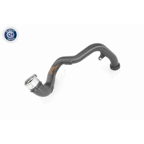 VAICO Ladeluftschlauch Q+, Erstausrüsterqualität V40-2262