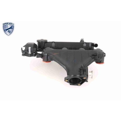 VAICO Zylinderkopfhaube EXPERT KITS + V42-1046