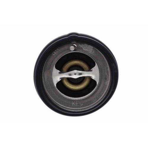 ACKOJA Thermostat, K&uuml;hlmittel Original ACKOJA Qualit&auml;t A52-99-0016