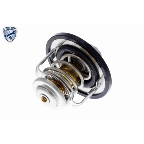 ACKOJA Thermostat, K&uuml;hlmittel EXPERT KITS +