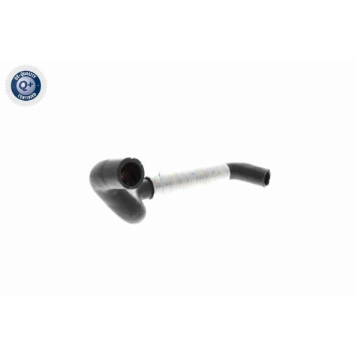 VAICO K&uuml;hlerschlauch Q+, Erstausr&uuml;sterqualit&auml;t