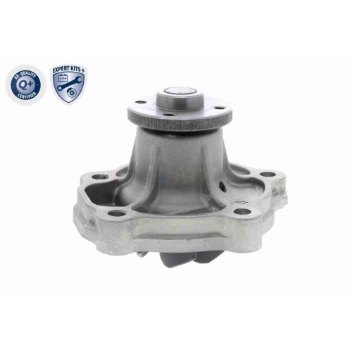 ACKOJA Wasserpumpe, Motork&uuml;hlung EXPERT KITS +