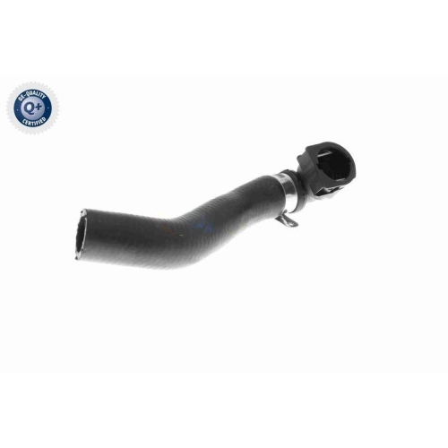 VAICO K&uuml;hlerschlauch Q+, Erstausr&uuml;sterqualit&auml;t V20-3682