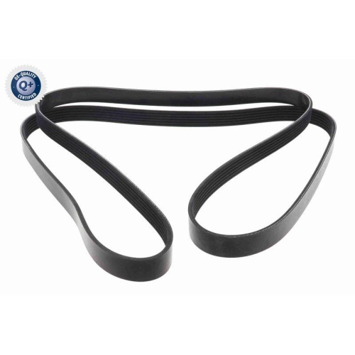 VAICO Wasserpumpe + Keilrippenriemensatz EXPERT KITS + V30-50109