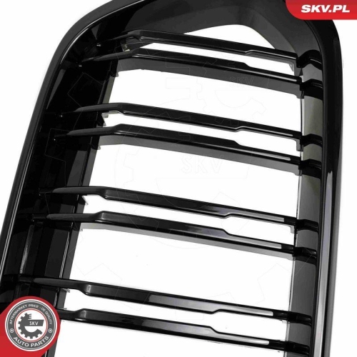 ESEN SKV Kühlergitter