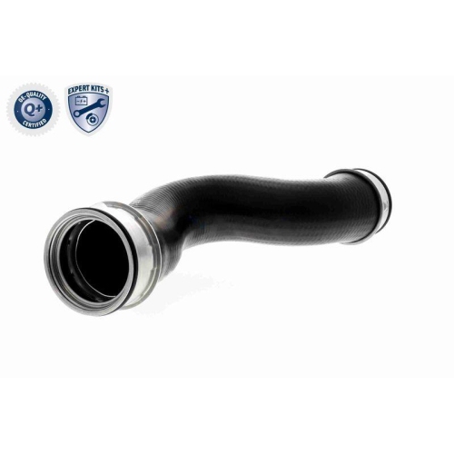 VAICO Ladeluftschlauch EXPERT KITS +