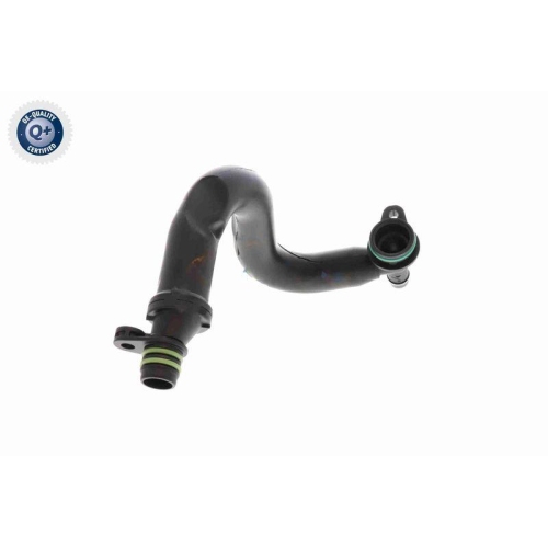 VAICO Ventil, Kurbelgehäuseentlüftung Green Mobility Parts V10-8677