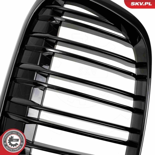 ESEN SKV Kühlergitter