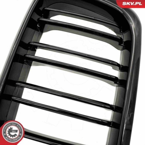 ESEN SKV Kühlergitter