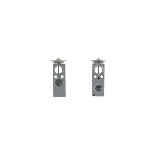MAHLE Expansionsventil, Klimaanlage BEHR AVE 176 000S
