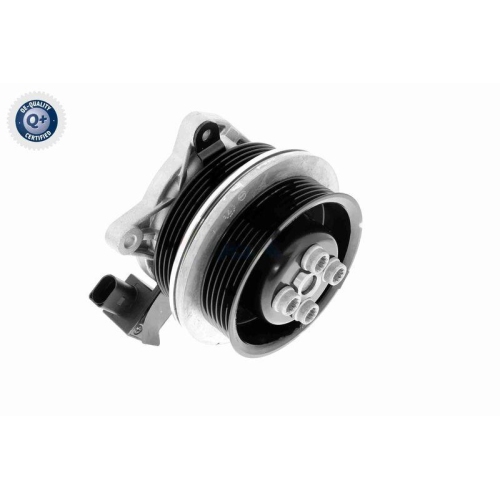 VAICO Wasserpumpe, Motorkühlung Q+, Erstausrüsterqualität V10-50065