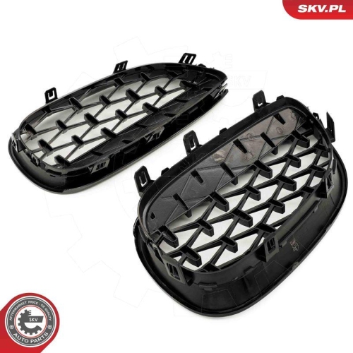 ESEN SKV Kühlergitter