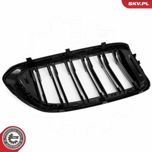 ESEN SKV Kühlergitter